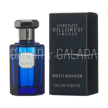 LORENZO VILLORESI Wild Lavender